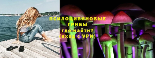 скорость mdpv Каменногорск