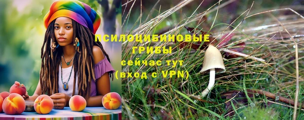 скорость mdpv Каменногорск