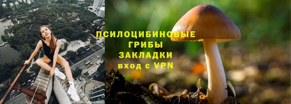 скорость mdpv Каменногорск